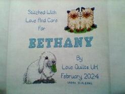 Cross stitch square for Bethany P's quilt