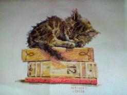 Cross stitch square