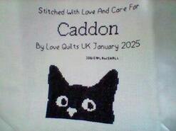 Cross stitch square for Caddon H's quilt