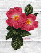 Cross stitch square for Abigail's quilt