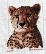 Cross stitch square for Alan S's quilt