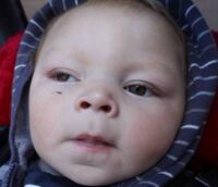 Photo of William F