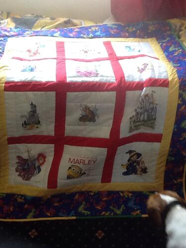 Photo of Marley Vs quilt