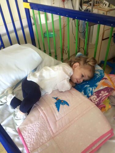 Photo of Evie-Roses quilt