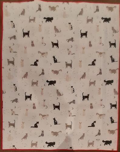 Photo of Joelle Cs quilt