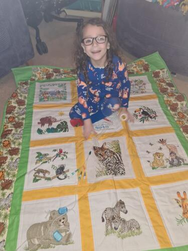 Photo of Noah Ns quilt