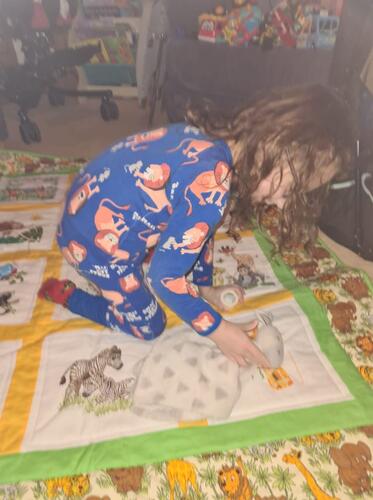 Photo of Noah Ns quilt