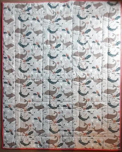 Photo of Sailers quilt