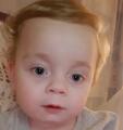 Alfie M