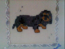 Card for Darcie J