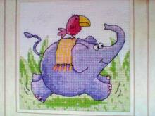 Card for Elijah S