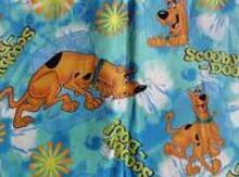 Fabric for Joshua D 