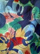Fabric for Ollie E