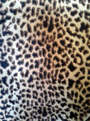 Fabric for Charlie J