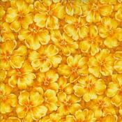 Fabric for Primrose Quilt