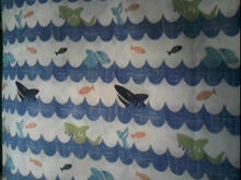 Fabric for Travis G