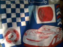 Fabric for Lleyton C