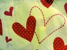 Fabric for Faye B