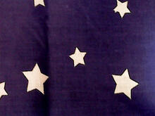 Fabric for Sam R