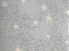 Fabric for Bobby W