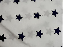 Fabric for Charlie A