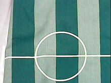 Fabric for Bradley J