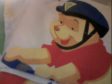Fabric for Toby N