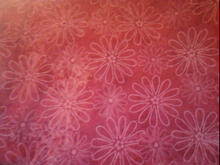 Fabric for Amelia B