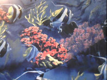 Fabric for Benjamin W