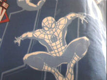 Fabric for Yves B