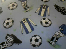 Fabric for Connor W