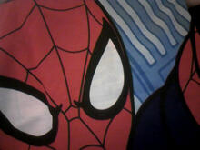 Fabric for Jacob M