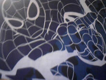 Fabric for Cian D