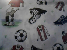 Fabric for Ben M