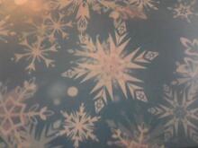 Fabric for Chelsea T