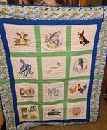Noah M's quilt