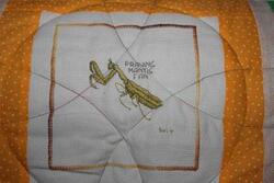 Cross stitch square for Henry A's quilt