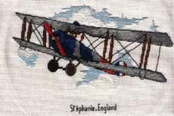 Cross stitch square for William M's quilt