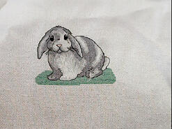 Cross stitch square for Matthew D's quilt