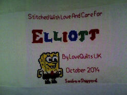 Cross stitch square for Elliott C's quilt