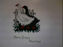 Cross stitch square for Matthew D's quilt