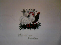 Cross stitch square for Matthew D's quilt