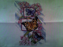 Cross stitch square for Courtney D's quilt