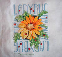 Cross stitch square for Kayley L's quilt