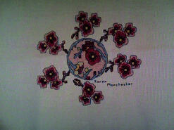 Cross stitch square for Bridie G's quilt