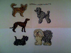 Cross stitch square for Alfie J's quilt