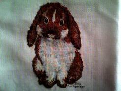 Cross stitch square for Olivia W's quilt