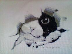 Cross stitch square for Talia B's quilt