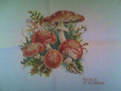 Cross stitch square for Matilda L's quilt