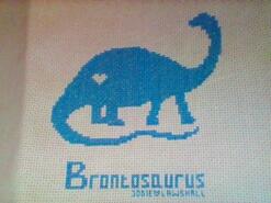 Cross stitch square for Charlie F's quilt